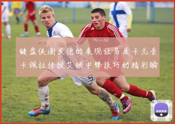 键盘侠谢泼德的表现让乌度卡无奈卡佩拉传授艾顿中锋技巧的精彩瞬间